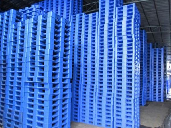Pallet gỗ hay nhựa: Đâu mới là lựa chọn hoàn hảo?
