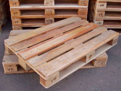 Nguyên nhân khiến Pallet gỗ hay bị mối mọt tấn công và cách khắc phục