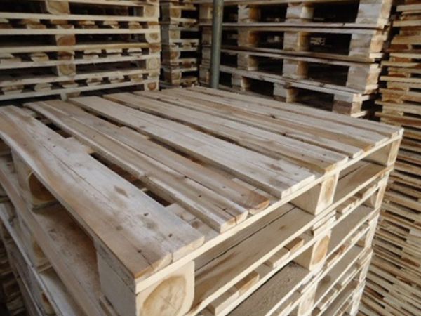 Những điều cần biết về pallet gỗ mới trước khi chọn mua
