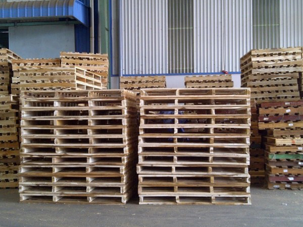 Bao lâu nên khử trùng pallet gỗ một lần